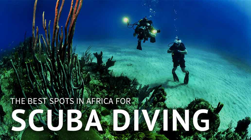 Scuba Diving In South Africa 42