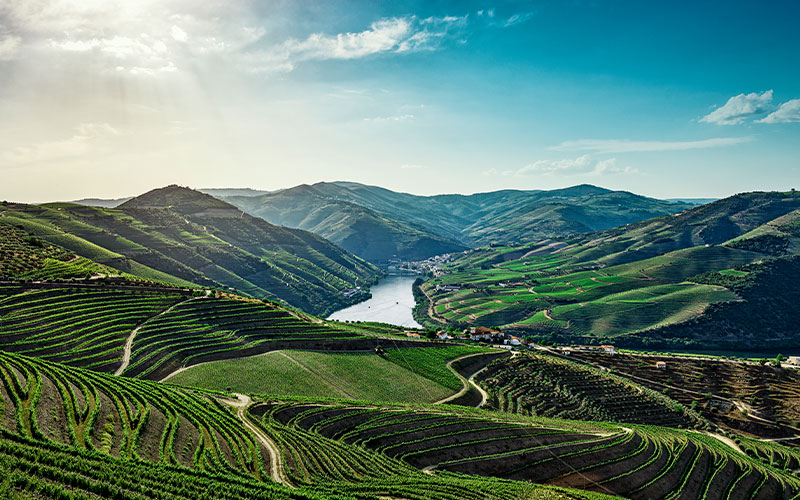 View of the Douro Valley in Portugal
