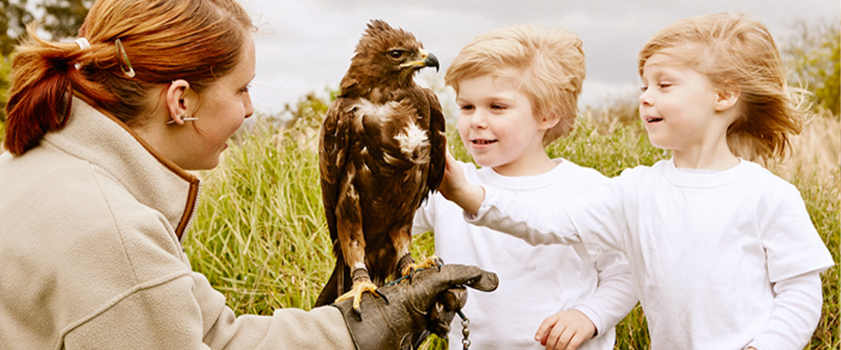 Children meeting an eagle at a family wine farm in South Africa