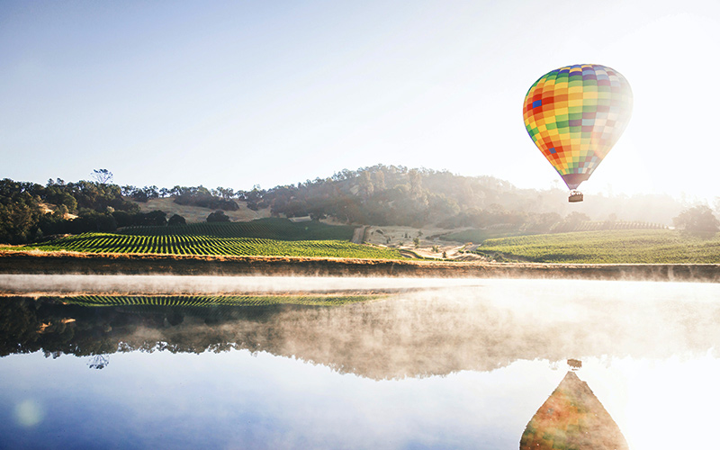 Hot air balloon floating above vineyards in Napa Valley California