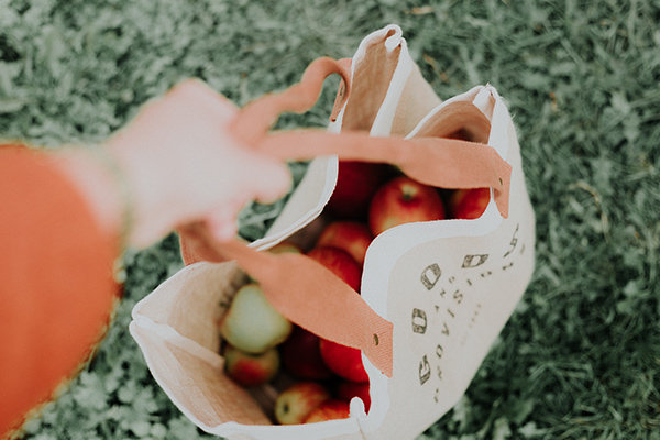 Sustainable shopping bag with local fresh produce