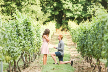 Top Proposal Ideas in the Winelands