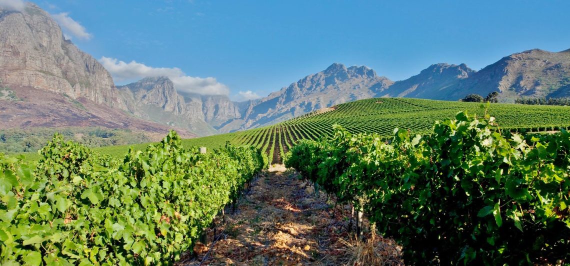 Wine Tasting Stellenbosch Top 10 Off the Beaten Track Wineries